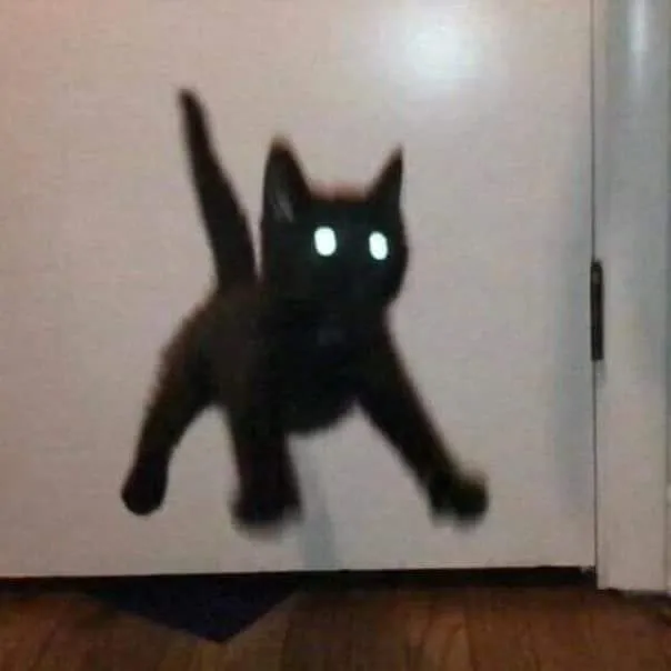 Orta çağ delisi avatar